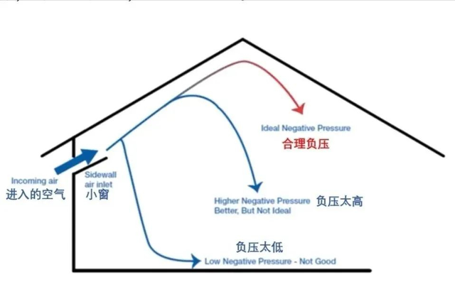 关于冬季鸡舍温差控制要点分析 - 知乎