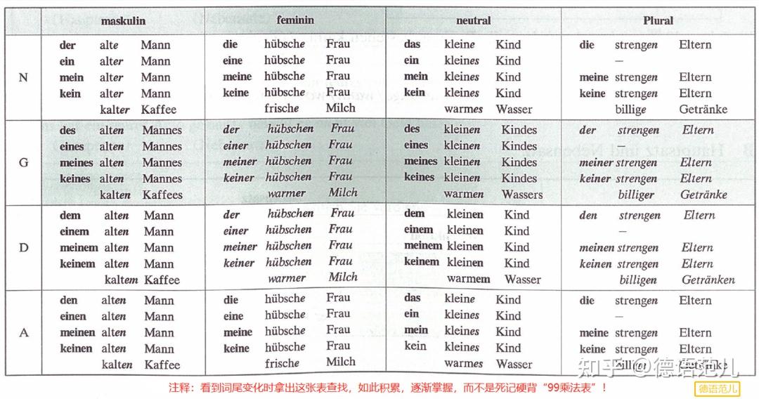 B1/B2 语法难点:按照形容词词尾变化的名词(上) - 知乎
