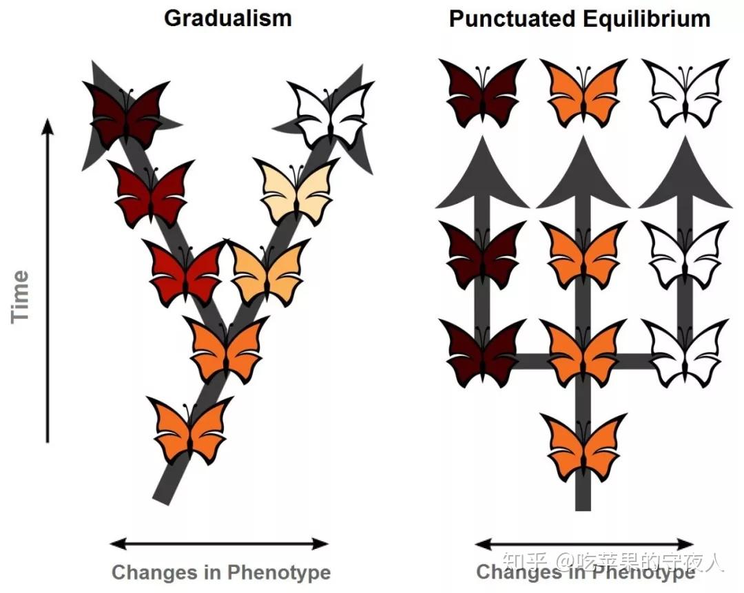 pe投资和颠覆性市场分析