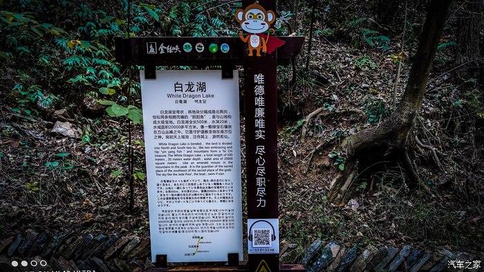 一人一唐,自驾洛南金丝峡,瞰五彩斑斓深秋神瀑峡沟