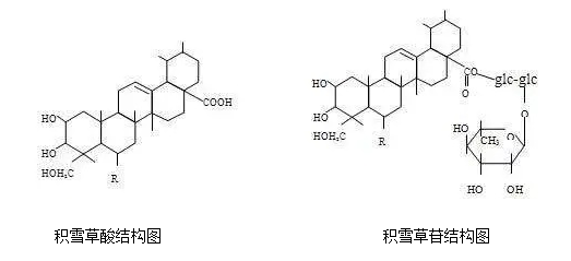 8款热门孕妇护肤品详细测评!这款经典护肤品含孕妇禁忌成分,敏感肌千万不要用!