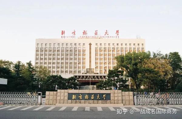 (24新版)北京林业大学国际商务考情分析及录取情况 - 知乎