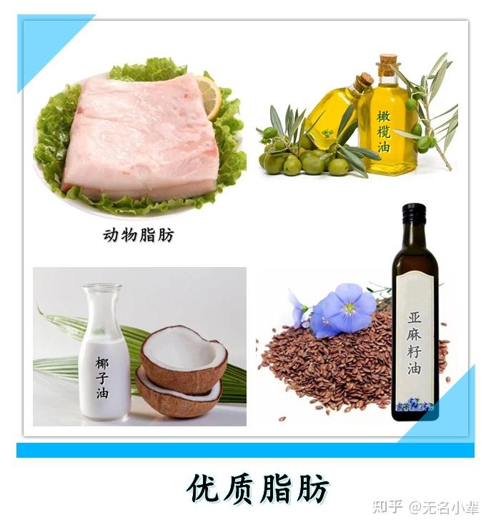 低碳优脂健康减肥,维兰尼告诉您优质脂肪有哪些?