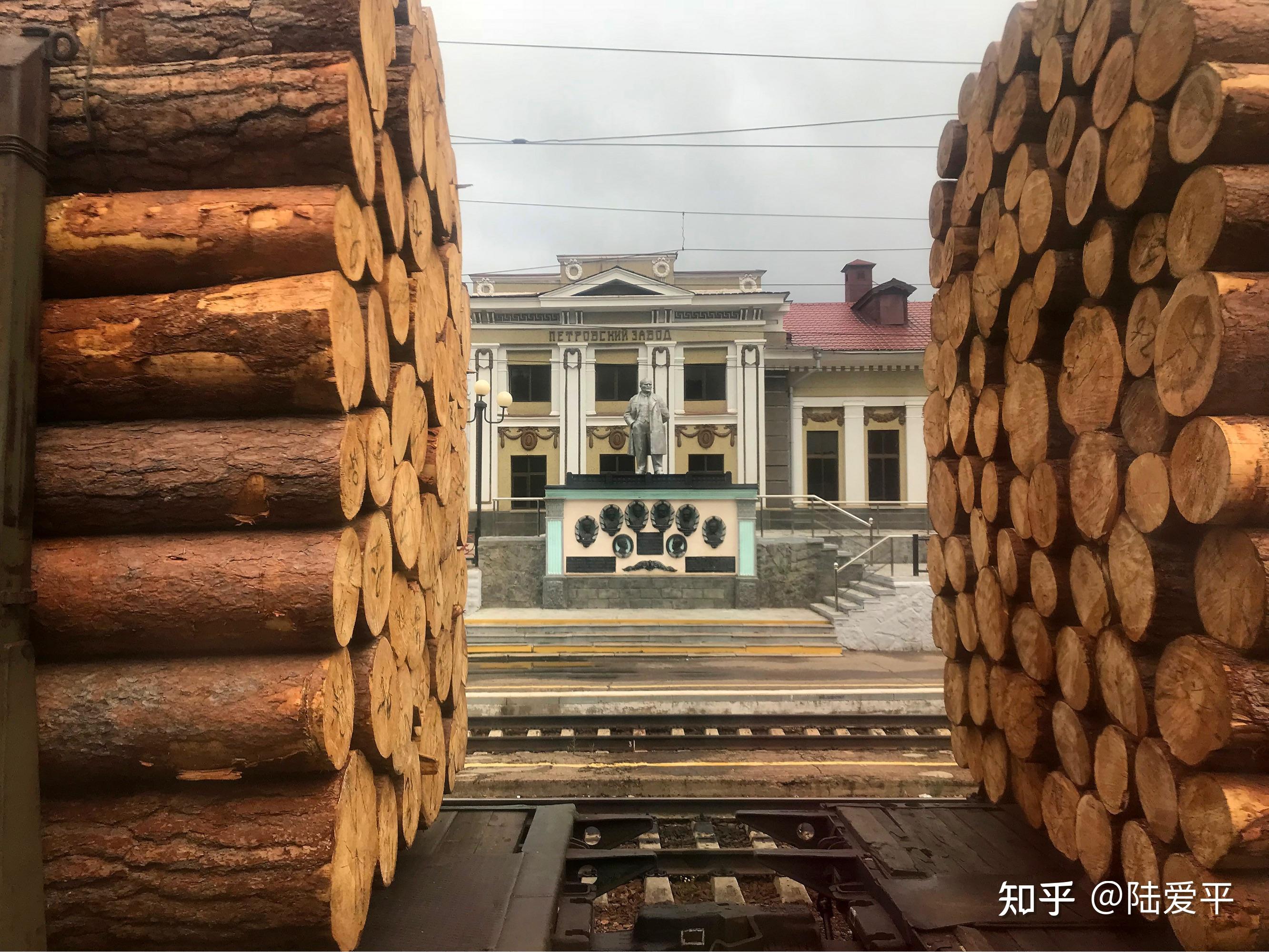 俄罗斯的木材,如何从西伯利亚的原始森林深处,千里迢迢来到中国