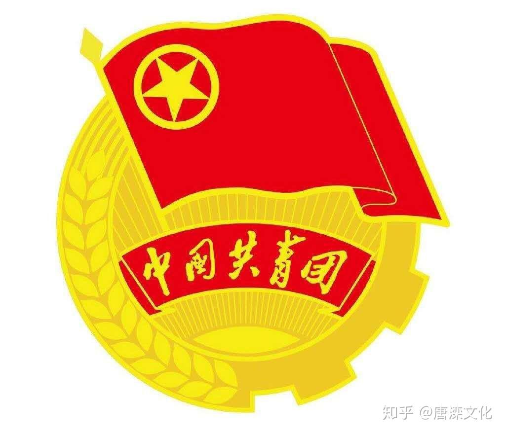 共青团雅安市群团中心大学生社会服务总队首次团员大会顺利召开 - 知