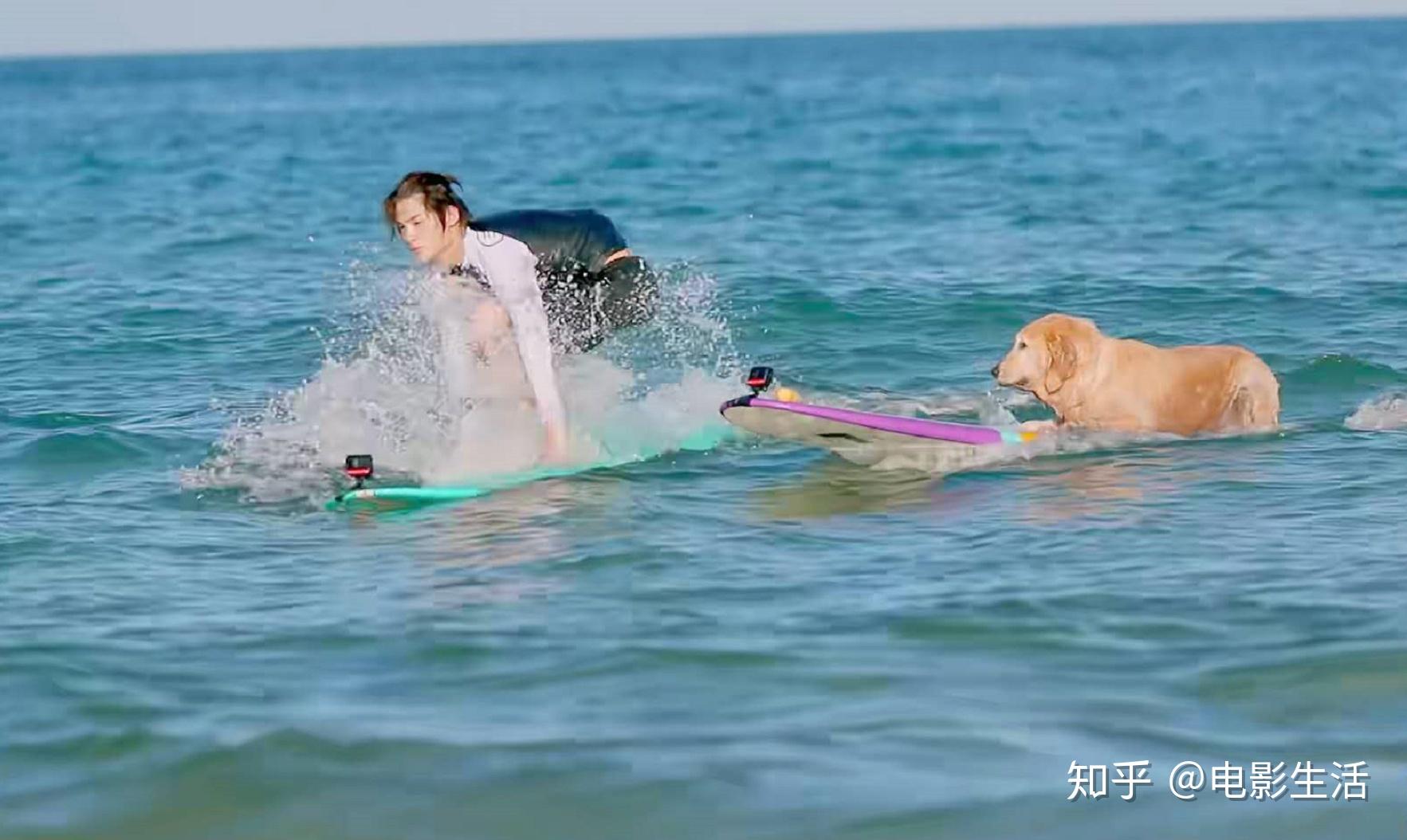 夏日冲浪店首播热度第一比中餐厅更解压全程姨母笑