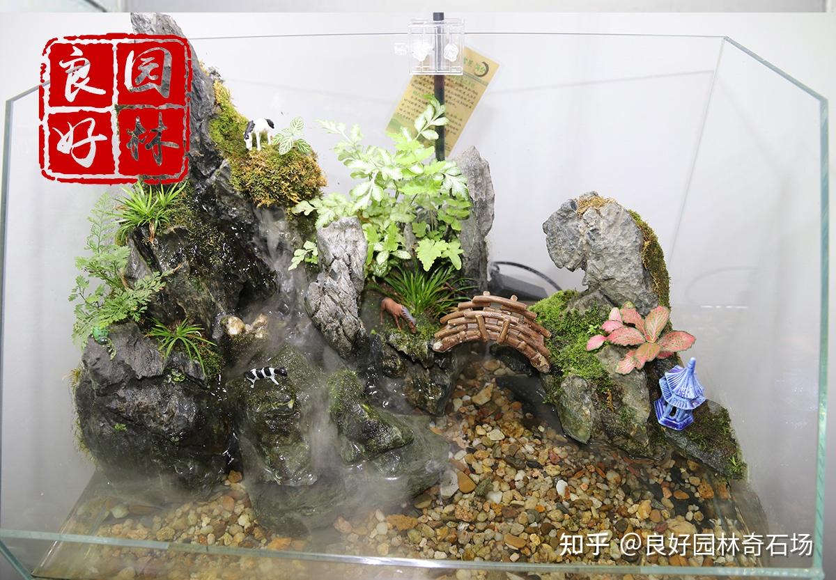 青龙石是什么石头? - 知乎