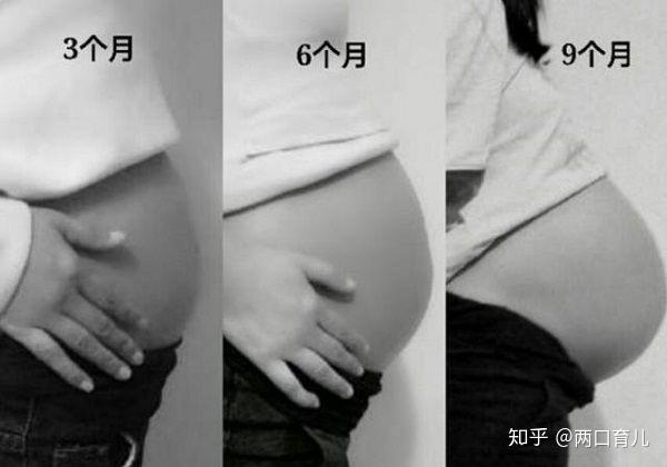 胎儿3个月 6个月 9个月的变化 看完惊喜又感动 你期待吗 知乎