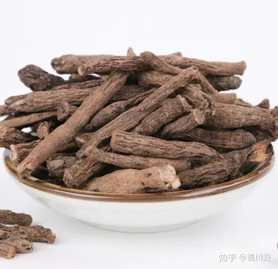 每日一药仙茅