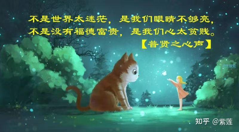 法布施得聪明智慧报,所以转发正能量文章,或者印经书结缘给其他师兄们