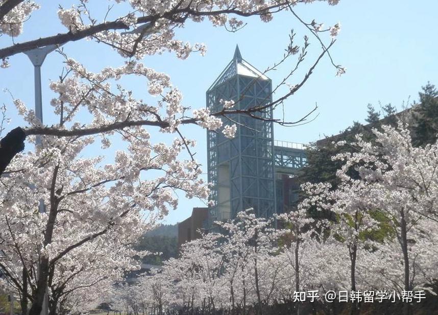 韩国留学韩国名校新罗大学中韩授课博士招生项目