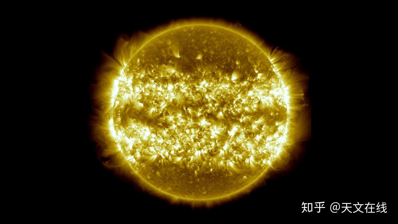 勃艮第种太阳图片