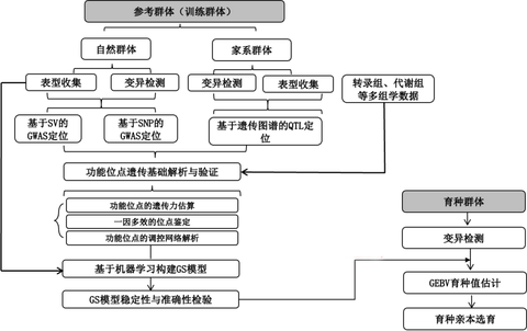 育种表型监测 - 知乎