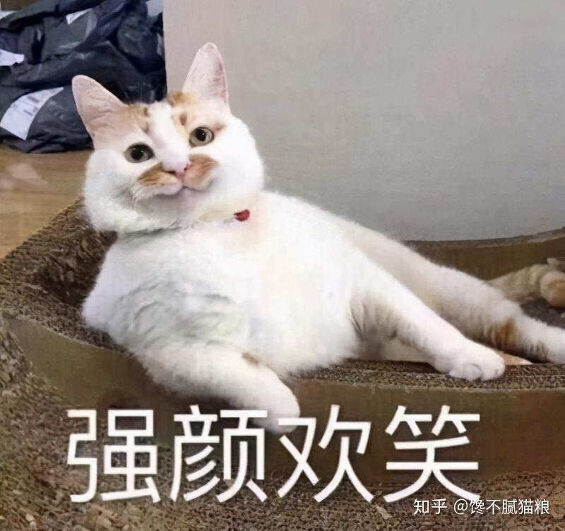 v2-ba364b33ea0c56b7ee28bb97a40609ba_r.jpg