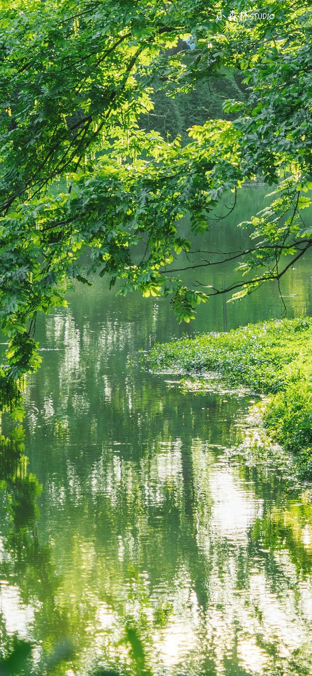 高清全屏手机壁纸——清凉夏天系列(无水印)