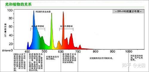 日光灯对植物有光合作用吗 知乎