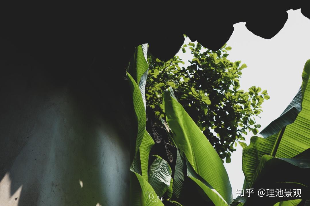 理池访园记艺圃时光 知乎