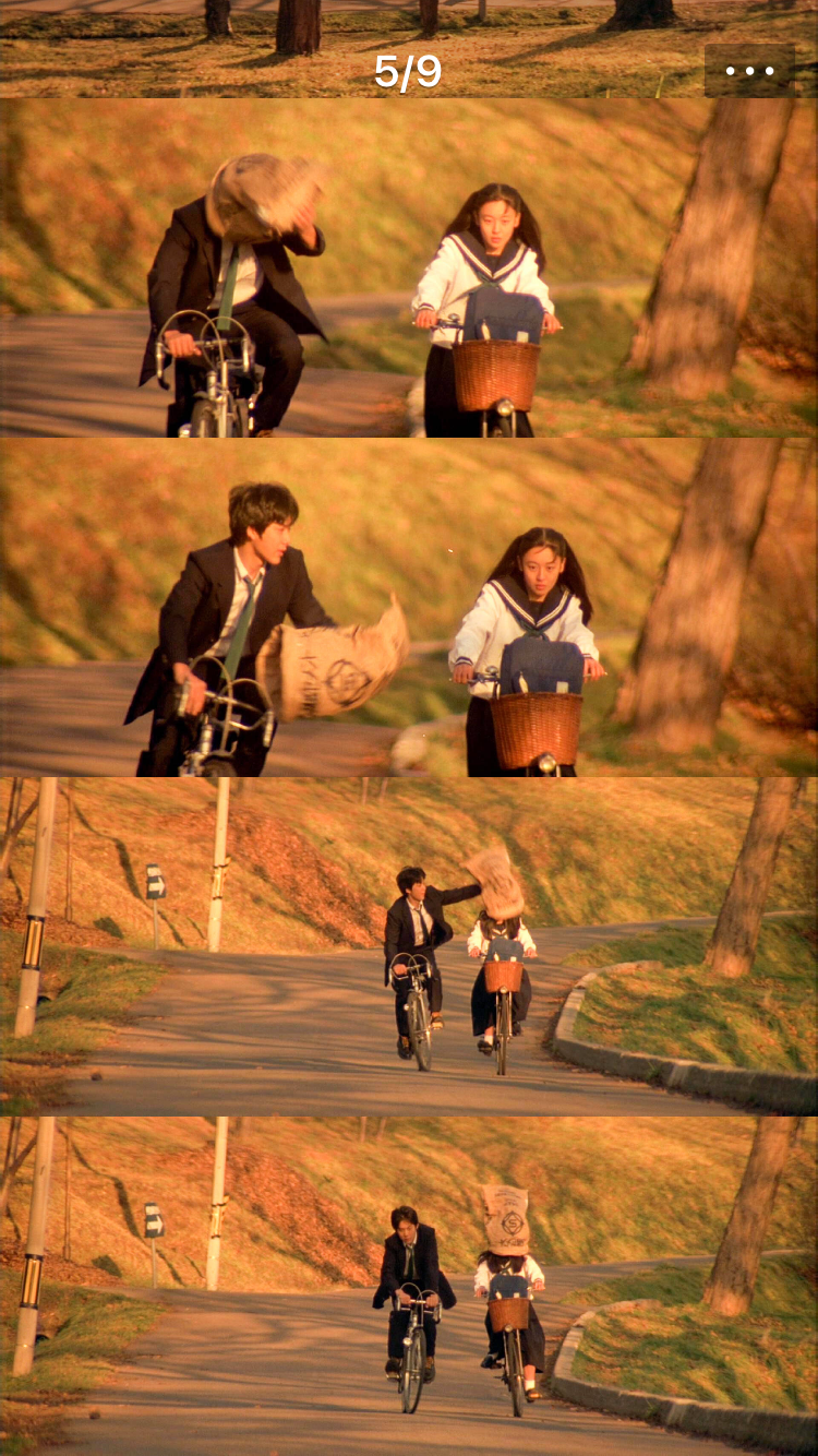 假如藤井树给藤井树写了一封情书内容会是怎样的