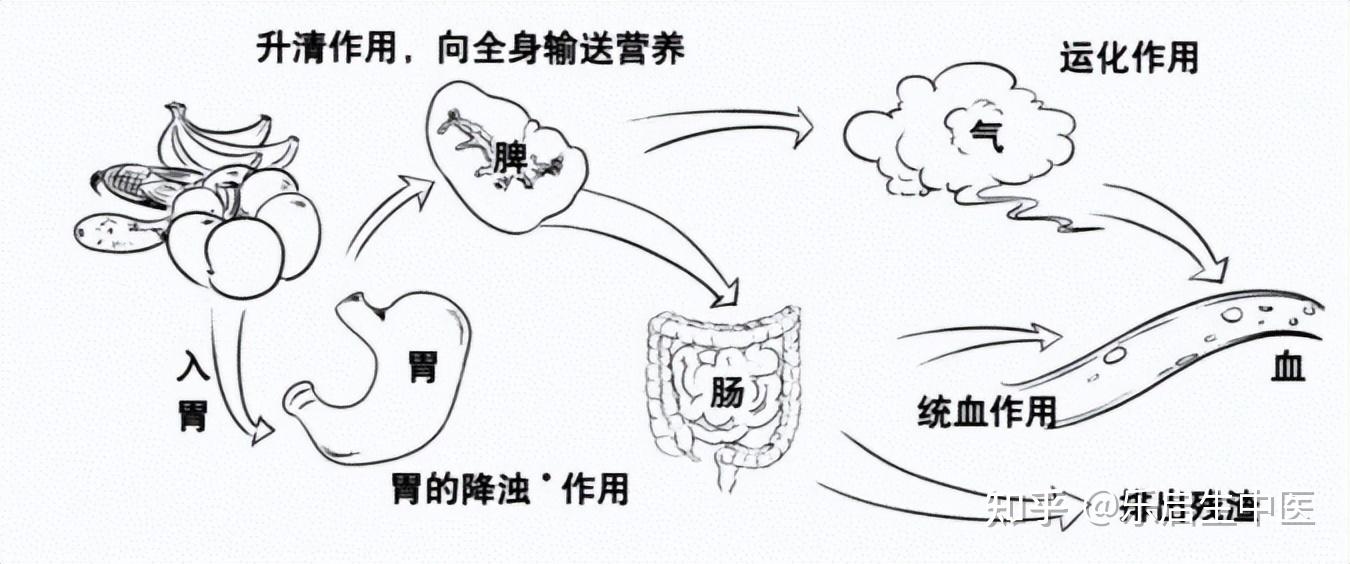 长期大便不成形