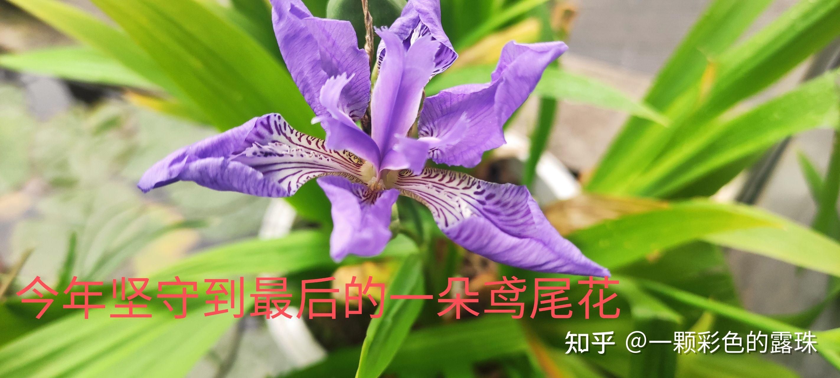 花卉批发挣钱吗知乎