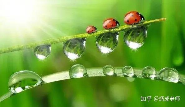 滋润万物,柔弱,浪漫.癸水为雨露之水,润物细无声.