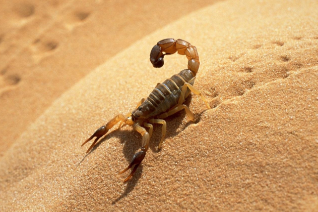 中国毒药史(一)|毒药伴随人类血泪史,其中有三个转捩点 - 知乎