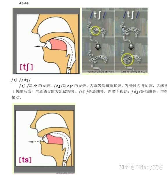 Voice Analysis Understanding the report Virtual Orator