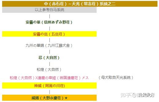 追本溯源日本柴犬名血父系图谱