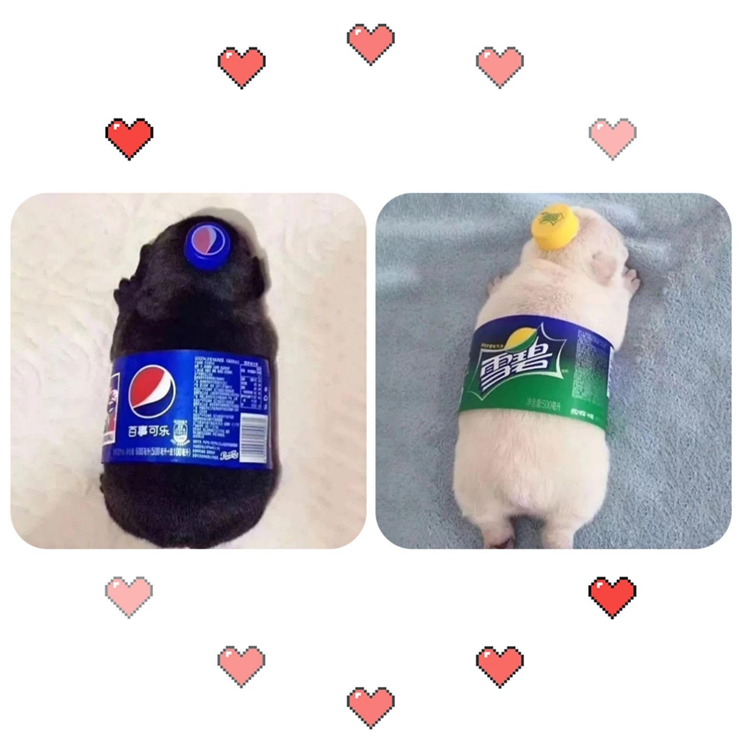 有哪些好看又特别的情侣头像