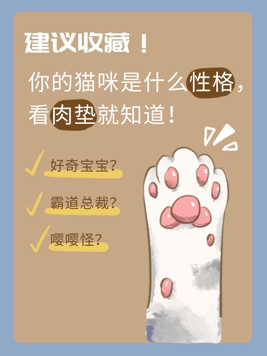 你的猫咪是什么性格看肉垫就知道