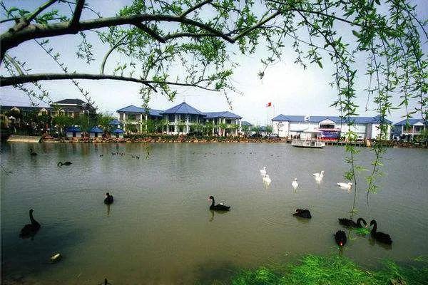 67(图:奉贤区青村镇申隆一村.