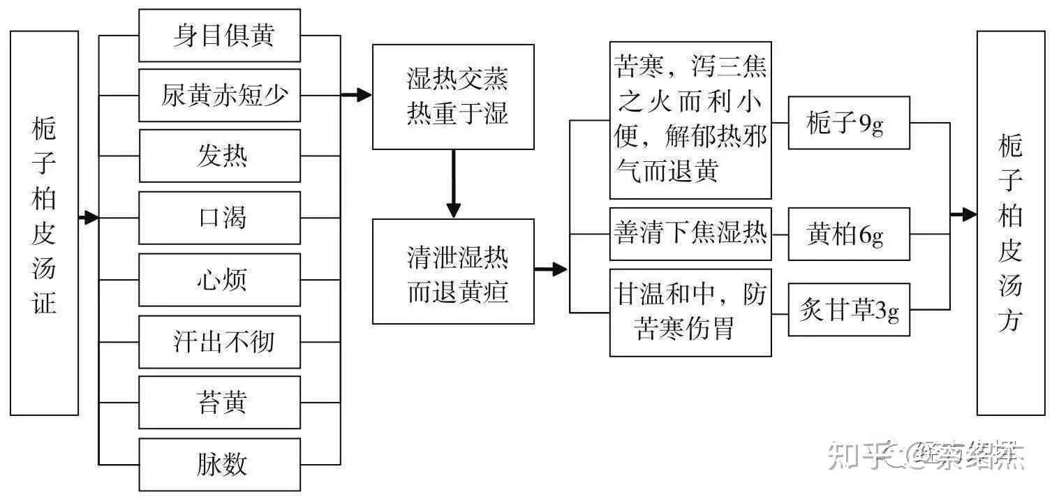 经方方证图解五