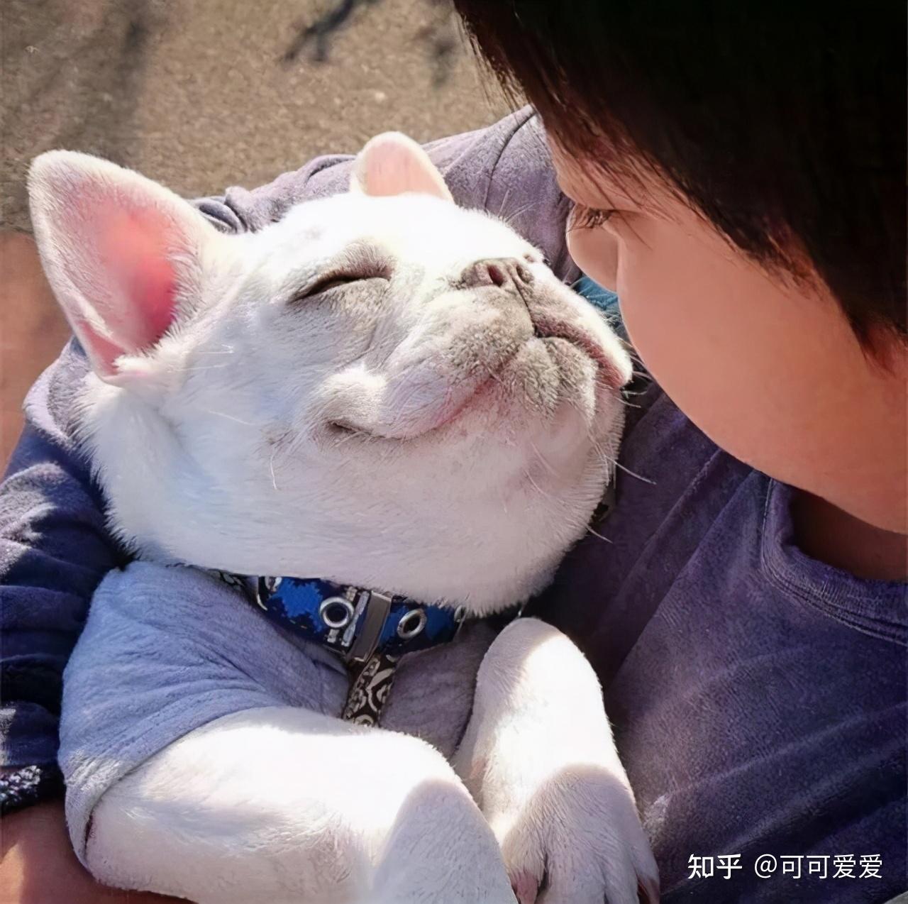 什么方法快速放屁 v2-bab45a02523f09a5e85554b3db63ecfa_r.jpg