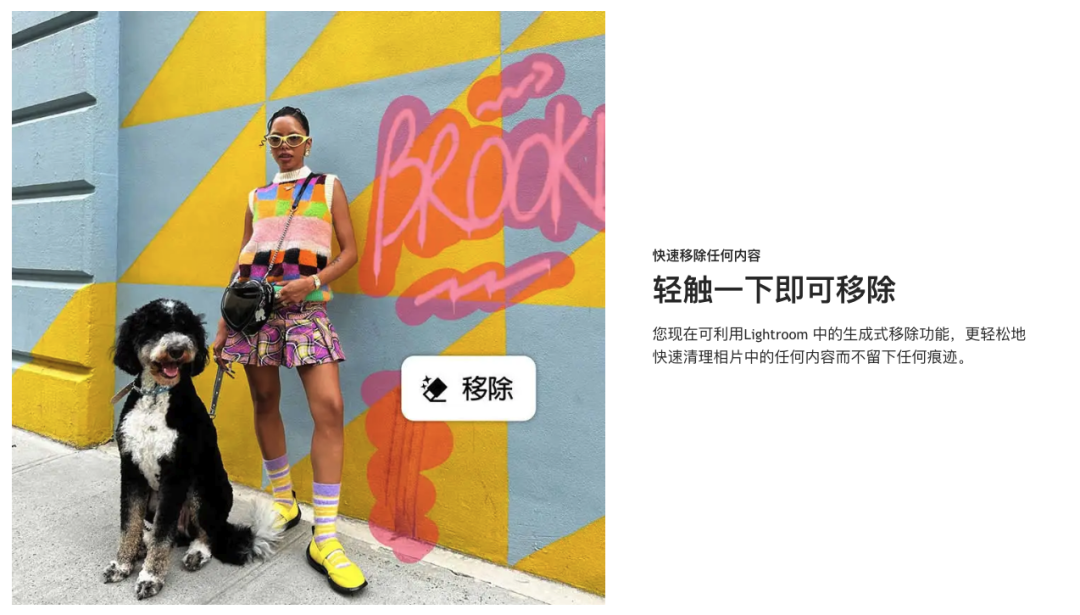 图片[27]-A101Adobe全家桶PS/PR/AU/AE/AI软件WIN和MAC安装包2015-2025-成品源码-好优选