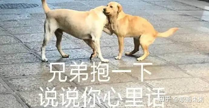 年薪没有过十万,你凭什么回家过年?