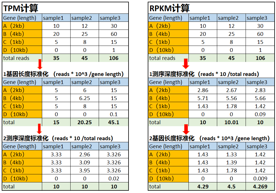 RNA测序的RPM、RPKM、TPM值（以及RPKM值转TPM值）笔记 知乎