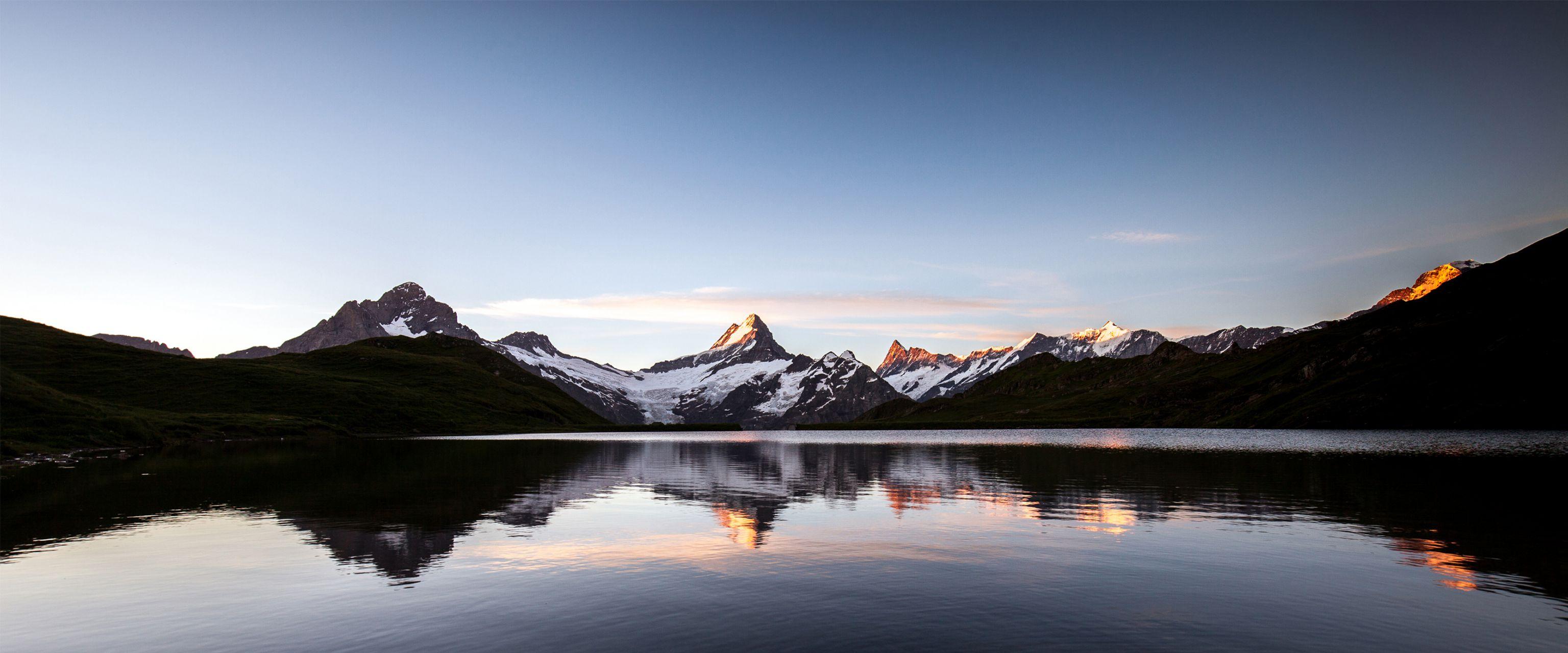 有没有好看的带鱼壁纸电脑宽屏的
