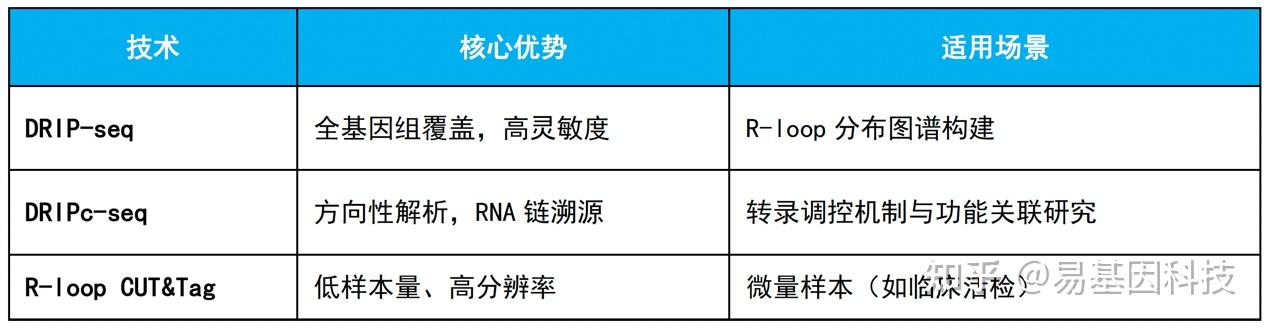 易基因：RNA甲基化修饰和R-loop的交叉调控：从分子机制到临床意义｜深度综述