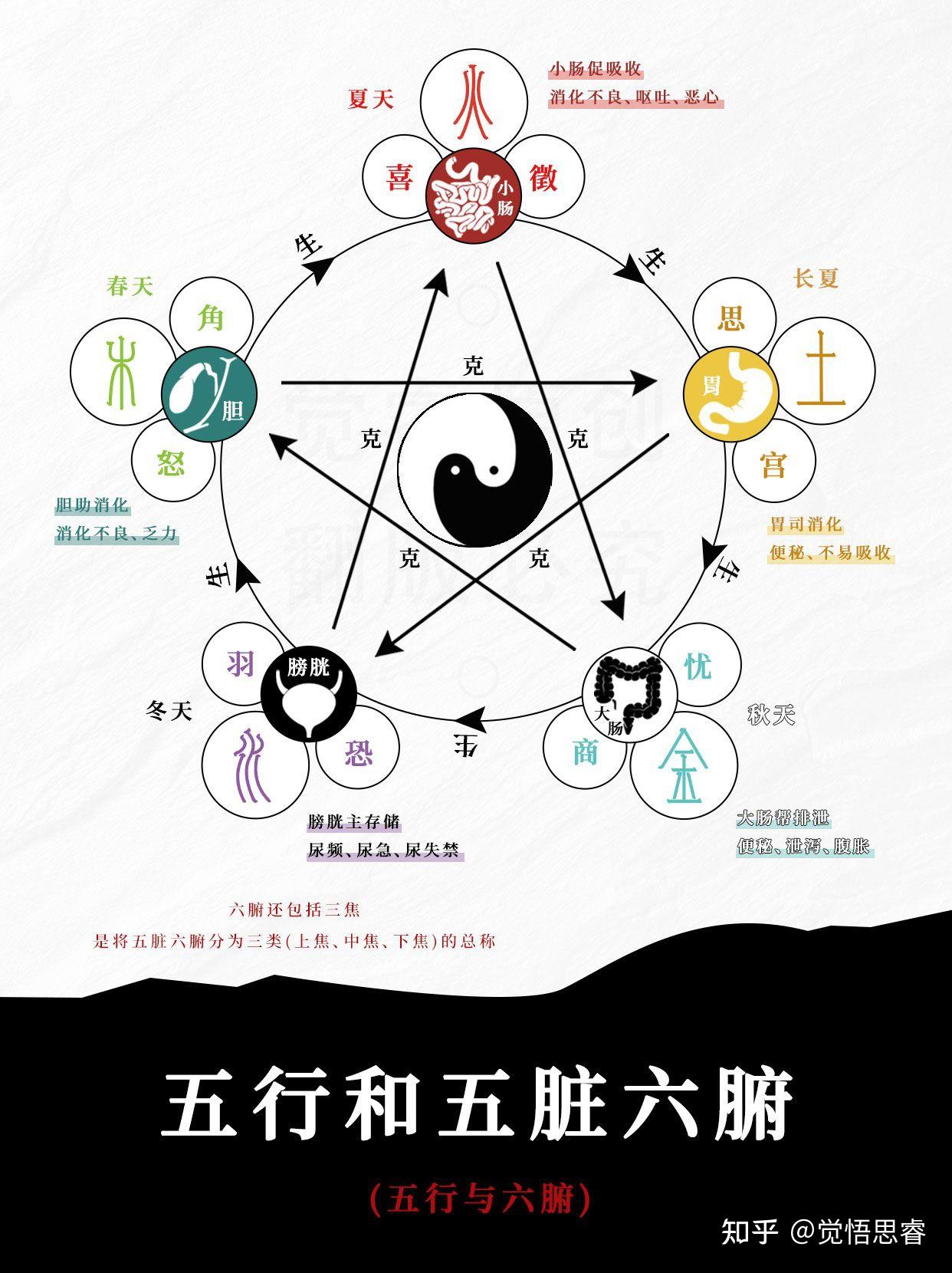 五行、五脏、五色、五音、五方、五气的中医理论 - 知乎