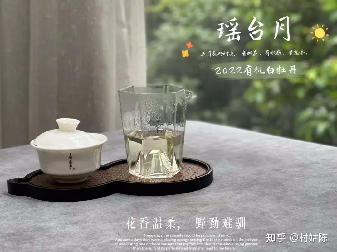 老茶客传授,避免泡出浓茶的4个有用技巧,看看你都做对了吗? - 知乎