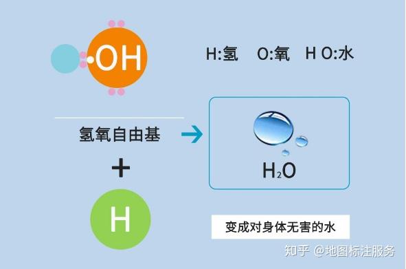 去除人体内恶性的活性氧——氢氧自由基氢的还原作用活性氢的抗氧化力