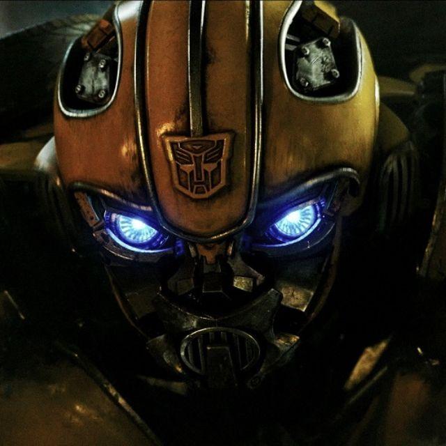 如何区分大黄蜂,大胡蜂,大马蜂,还有长得像蜂的家伙们?