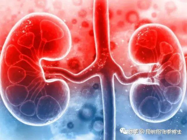 飞行员患有慢性肾炎会被终身停飞吗？ - 知乎