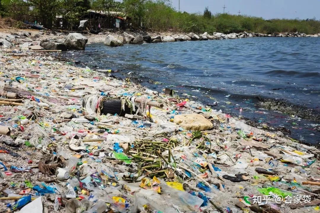 东太平洋塑料岛图片