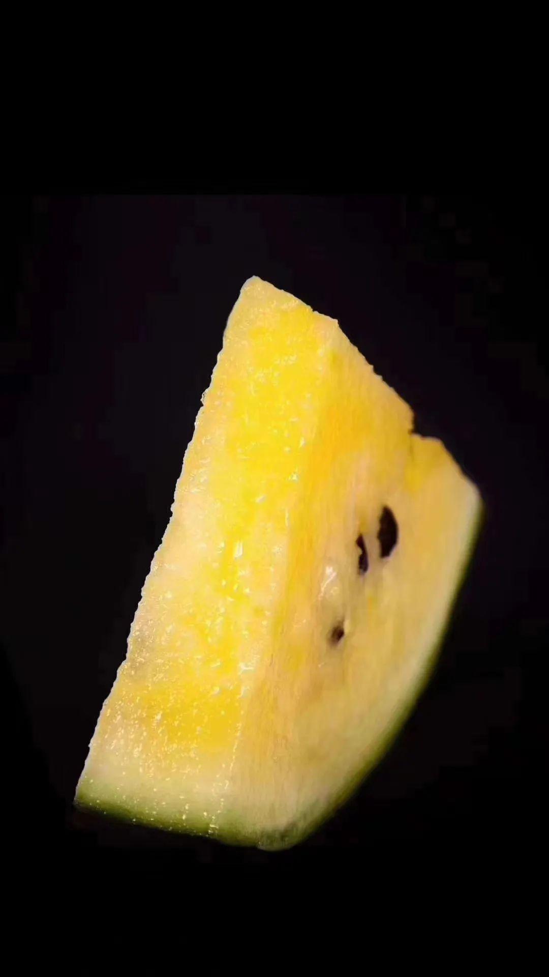 吃货必看,魔都西瓜新贵"黑晶"西瓜4月15开始批量上市 - 知乎