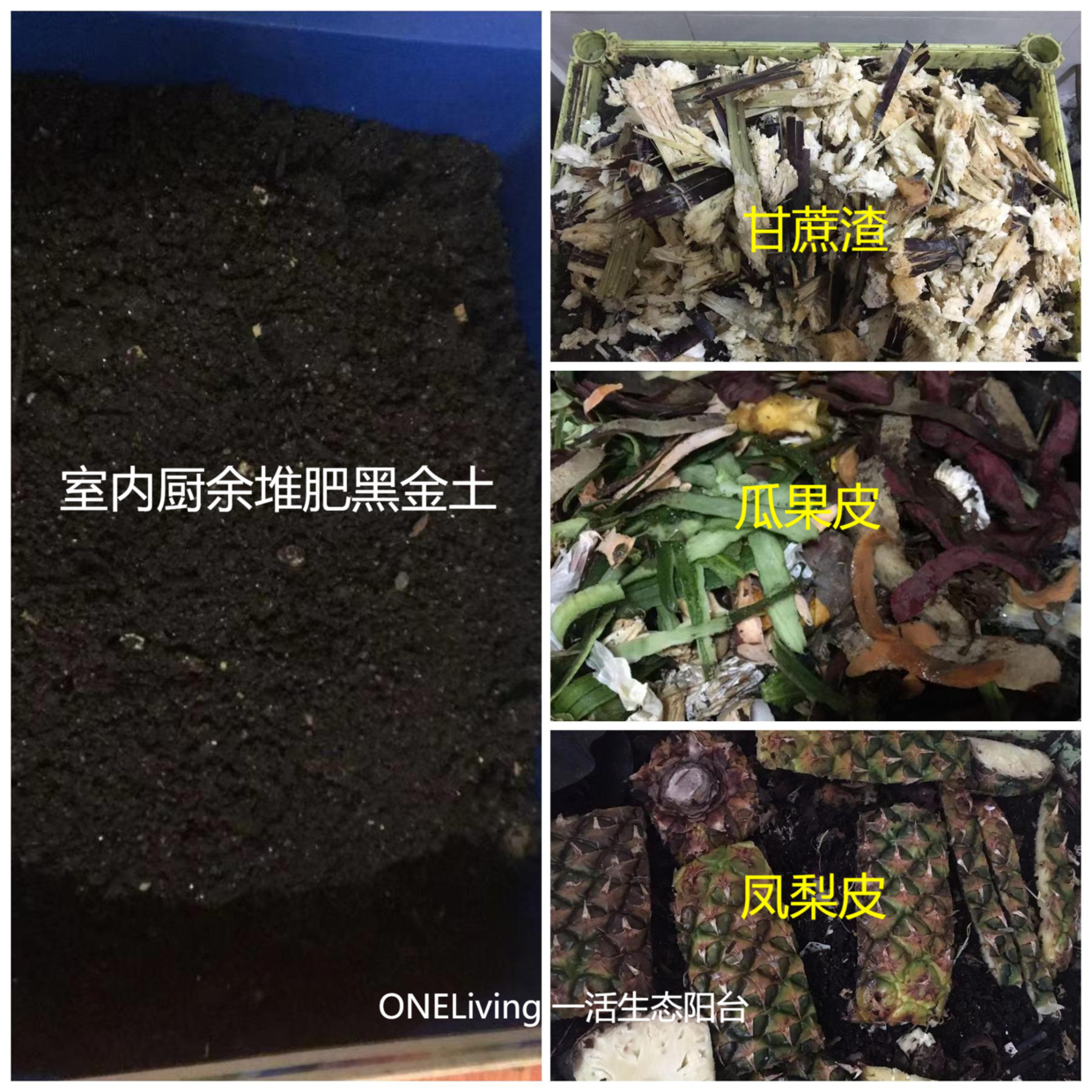 從垃圾問題到食物自產的花樣堆肥法我經歷了什麼事關所有人