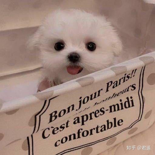 v2-bb768457ead779485233d56df597a4ae_r.jpg