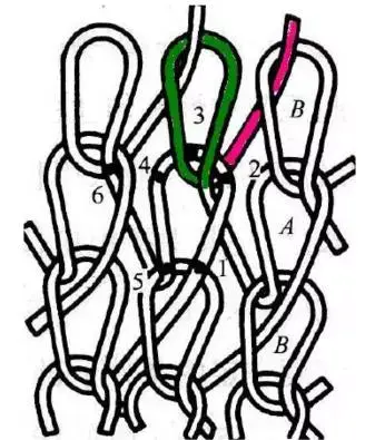 并相互串套链接而形成的织物,因此线圈为构成针织物的基本结构单元