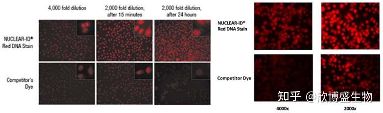enzo-life-sciences-nuclear-id