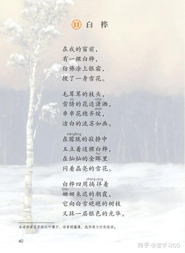 四年级下册白桦的课文解析()